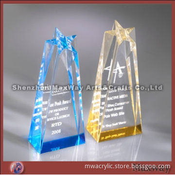 Ingenious Elegant Acrylic/Lucite Trophy/Paperweight/Gift with Logo
